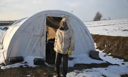 Kahramanmaraş depreminde arılarını kaybeden arıcı, devlet desteğiyle üretime devam etti
