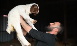 Kahramanmaraş depreminde tüm hayvanlarını kaybetti, şimdi üretimini ikiye katladı