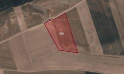 Kahramanmaraş Elbistan'da 14.627 metrekare tarla hissesi icradan satışta