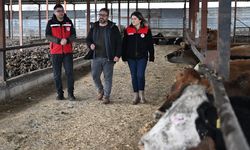 Kahramanmaraşlı depremzede besici, devlet desteğiyle üretime döndü