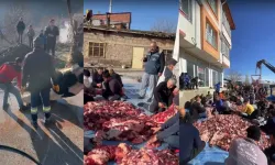 Kahramanmaraş'ta 11 Büyükbaş Kurban Mahalleye Pay Edildi