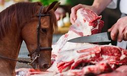 Kahramanmaraş’ta da Şubesi Bulunan Zincir Marketin Dönerinde At ve Eşek Eti Çıktı