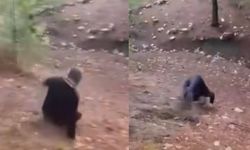 Kahramanmaraş’ta Düğünde “Ceza” Şovu: Damat Babası Takla Attı