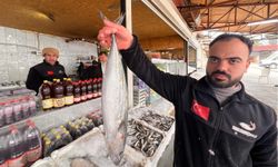 Kahramanmaraş'ta her gün onlarca aileye ücretsiz balık dağıtılıyor