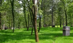 Kahramanmaraş'ta Orman 20 yıllığına kiraya veriliyor! İhale tarihi belli oldu