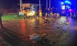 Kamyon ile Minibüs Çarpıştı: 2 Yaralı