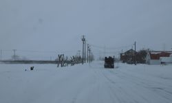 Kar 4,5 metreyi geçti, 30 kişi hayatını kaybetti