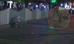 Kurşunlar araçlara isabet etti, yaralılar hastaneye kaldırıldı