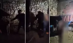 Mardin’de çocuğa ahırda şiddet kamerada; şüpheli serbest