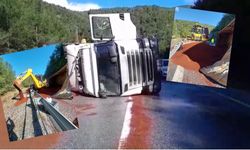 Peyzaj malzemesi yüklü tır virajı alamayarak devrildi