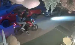 Sabah 05.00’te Geldi, Peluş Ayıyı Alıp Kaçtı!