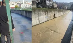 Samsun’da derede erkek ces*di bulundu