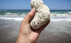 Sıradan Taş Gibi Görünüyor, Gramı Altınla Yarışıyor