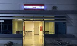 Kan donduran olayda yeni gelişme: Yaşlı adamın kesik başı ormanda bulundu