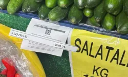 Üreticiden 20 TL’ye alınan salatalık, zincir market rafında 129 TL’ye satıldı