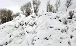 Van’da yoğun kar yağışı nedeniyle 76 yerleşim yeri ulaşıma kapandı