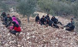 Yayladağı’nda 30 kaçak göçmen jandarmaya yakalandı