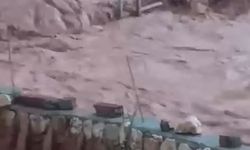 Şırnak'ta sağanak; dereler taştı, evleri su bastı