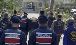 Annesini odunla başına vurarak öldürdü