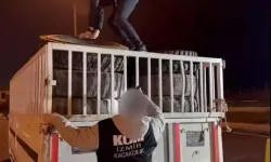 Araç lastiklerine gizlenmiş 8 bin 550 paket kaçak sigara ele geçirildi; 2 tutuklama