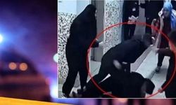 Ardahan Vali Yardımcısı sekreter olayı nedir? Ardahan Vali Yardımcısı'nın sekreteri kimdir?