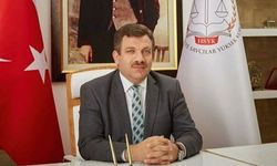 AYM üyesi Şaban Kimdir, Nereli, Kaç Yaşında?