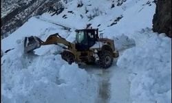 Bitlis’te Köy Yoluna Çığ Düştü: Karbastı Köyü Ulaşımı Bir Süre Kapandı