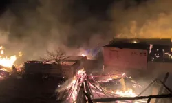 Bolu'daki yangında 4 ev ile 8 samanlık kullanılamaz hale geldi