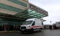 Diyarbakır Yenişehir’de akraba kavgası kanlı bitti: 1 kadın öldü, 3 yaralı