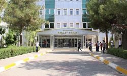 Dilan Aslan Kimdir? Ölüm Nedeni Ne?