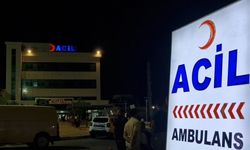 Diyarbakır'da aile faciası! Eşini öldüren koca tutuklandı