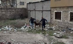 3 yaşındaki çocuk ağır yaralı olarak hastaneye kaldırıldı: Baba o anları anlattı