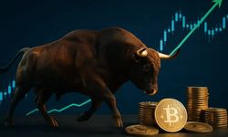 En kârlı meme coin hangisi? Altcoinler yükselecek mi, piyasada “iğne” gelir mi?