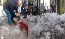 Erzurum'da çatından üzerine kar ve buz kütlesi düşen kişi ağır yaralandı
