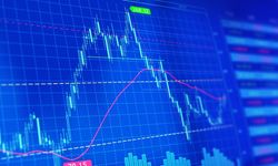 Gentaş Kimya (GENKM) halka arz fiyatı ne kadar, kaç lot verir, katılım endeksine uygun mu, hangi bankalarda var?