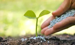 Gübre ham maddesi üre için ithalatta gümrük vergisi sıfırlandı