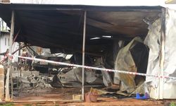 Hamile anne ve 5 yavrusu yanarak can vermişti! O sera sahibi hapse atıldı