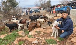 Kahramanmaraşlı yetiştiricilere müjde! Ücretsiz eğitimle katılım belgesi sahibi olun
