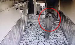 Hırsızlık Yaparken Kamerayı Fark Edince Vazgeçti