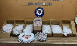 İzmir'de 356 bin sentetik ecza hap ele geçirildi; 3 tutuklama