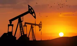 Japonya devlet petrol rezervlerini kullanıma açıyor