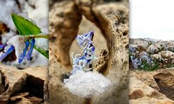 Kahramanmaraş Afşin'de görsel şölen! Karların arasından çıkan kaya sümbülleri