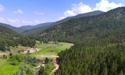 Kahramanmaraş’ın Doğa Mirası Güvence Altında: Milli Parklar Kanunu TBMM’den Geçti