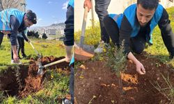 Kahramanmaraş'ta bahar temizliği ve ağaçlandırma!