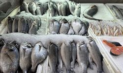 Kahramanmaraş’ta Balık Avlamak Yasaklandı