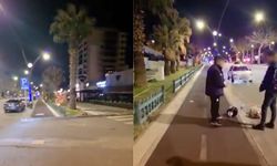 Kahramanmaraş’ta bir kişi palmiye ağaçlarını ateşe verdi