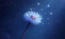 Kahramanmaraş'ta Dün Bugün Yarın tiyatro oyunu sahnelenecek