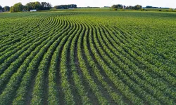 Kahramanmaraş’ta işlenmeyen tarım arazileri için hibe desteği başladı