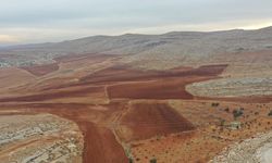 Kahramanmaraş’ta işlenmeyen tarım arazileri için yüzde 75 hibe desteği verilecek