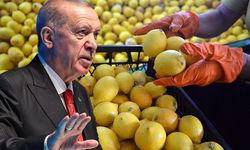 Kahramanmaraş’ta Limon Fiyatlarına Müdahale: %10’a Düştü